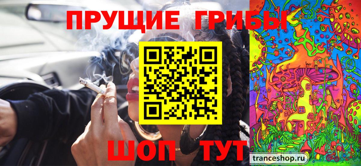 Ипатово  Галлюциногенные грибы ЛСД  Вход с VPN  Галлюциногенные грибы Psilocybine cubensis 